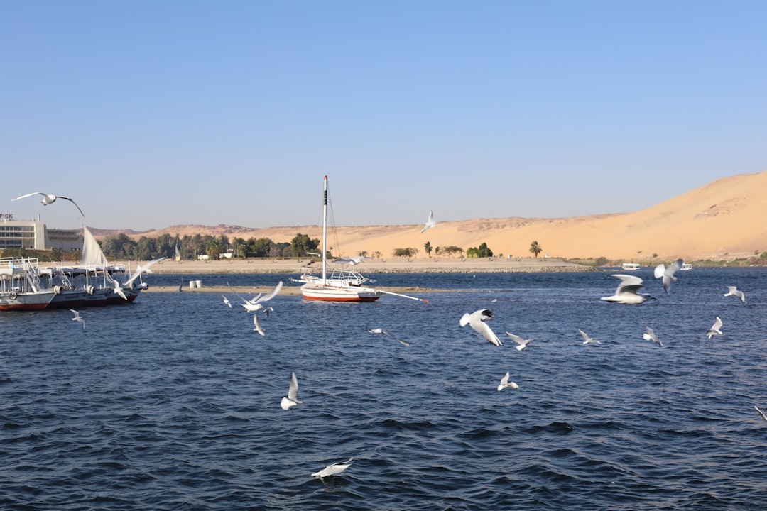 Madinat Coraya：红海上的天堂 - Marsa Alam | Secret World Trip Planner