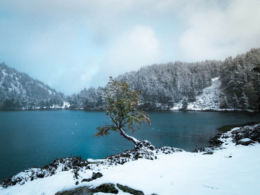 Explora el Lac de Nino: una joya natural en Córcega - Lozzi | Secret World Trip Planner
