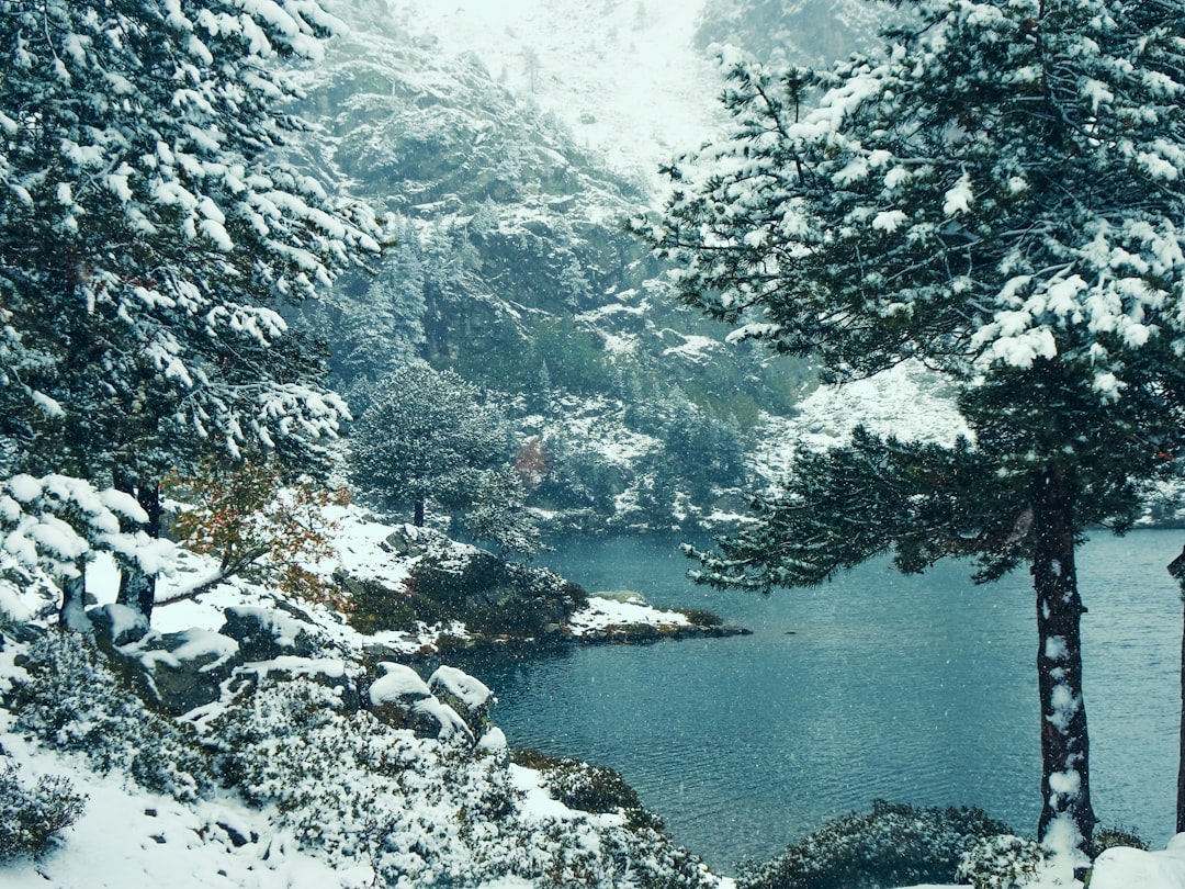 Explore o Lac de Nino: uma joia natural na Córsega - Lozzi | Secret World Trip Planner