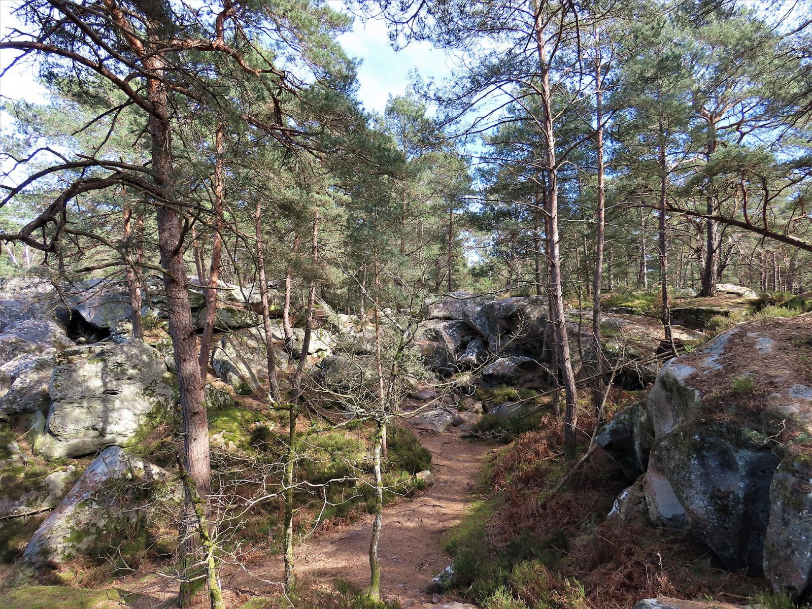 フォンテーヌブローの自然の隠れ家、フランシャール峡谷を発見しよう - Fontainebleau | Secret World Trip Planner