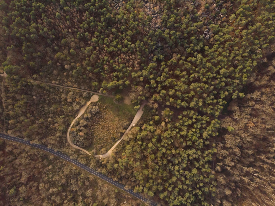 Descubre la Forêt de Fontainebleau: un rincón de naturaleza en Francia - Fontainebleau | Secret World Trip Planner