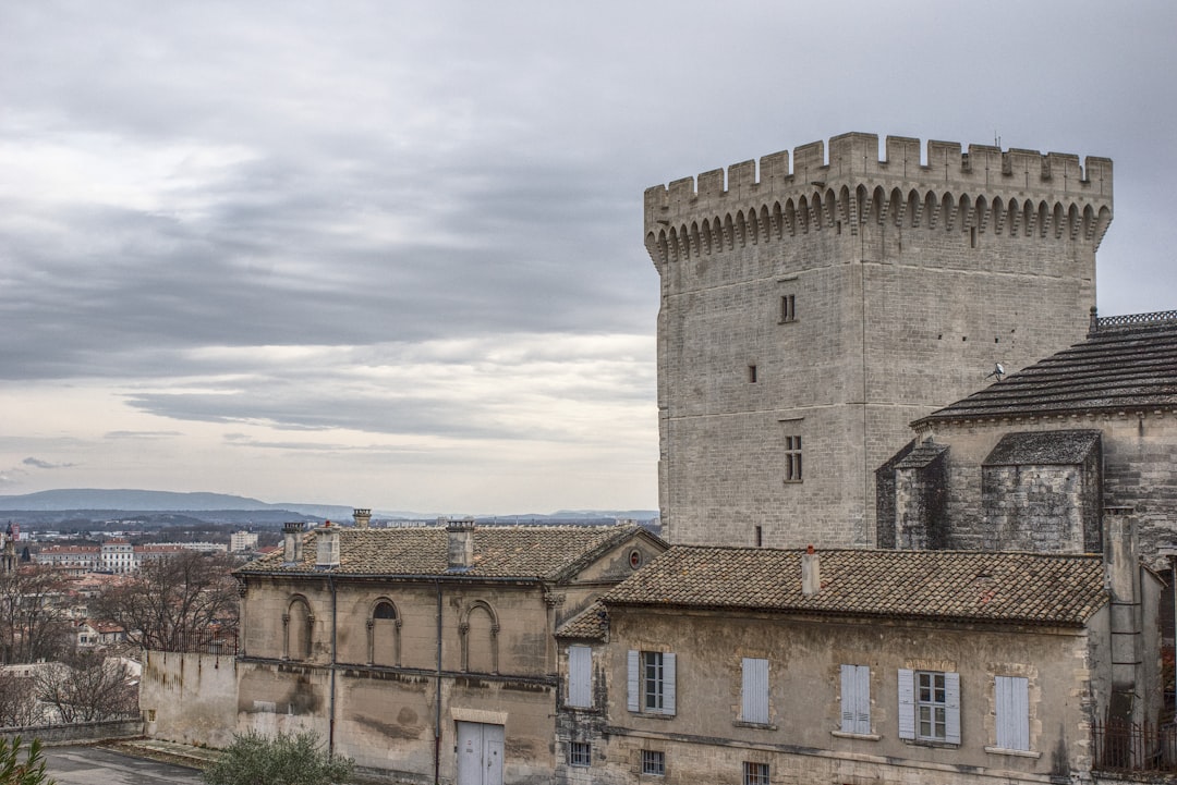 Scopri il Palais des Papes ad Avignone, un tesoro storico - Avignon | Secret World Trip Planner