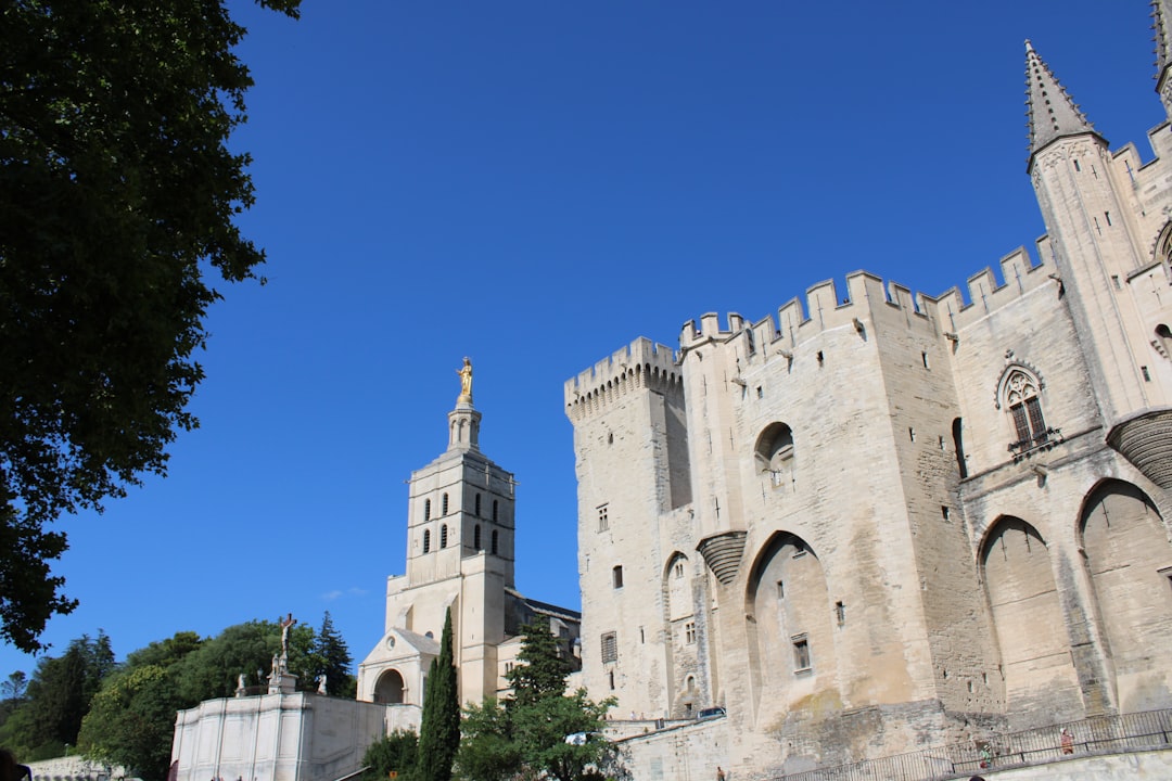 Descubra o Palais des Papes em Avignon, um tesouro histórico - Avignon | Secret World Trip Planner