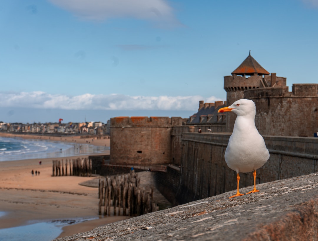 Découvrez les Remparts de Saint-Malo : Histoire et Beauté de Bretagne - Pecqueuse | Secret World Trip Planner