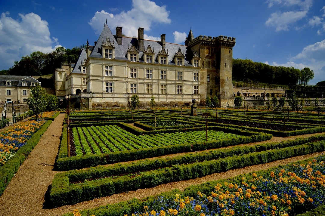 Entdecken Sie das Château de Villandry: Geschichte und bezaubernde Gärten - Villandry | Secret World Trip Planner
