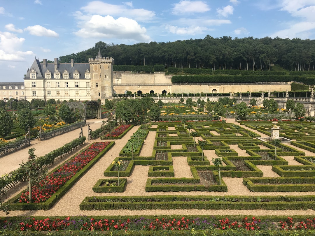 Откройте для себя Шато де Вилландри: история и очаровательные сады - Villandry | Secret World Trip Planner