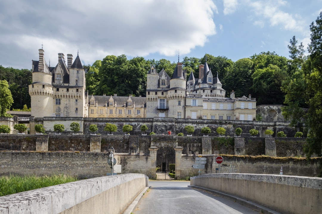 Descubre el encanto del Château d'Ussé: historia y belleza - Rigny-Ussé | Secret World Trip Planner