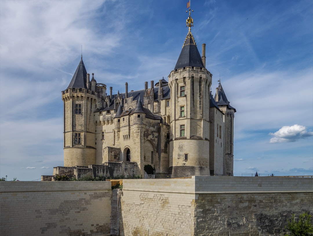 Discover the Charm of Château de Saumur in France — Chouzé-sur-Loire