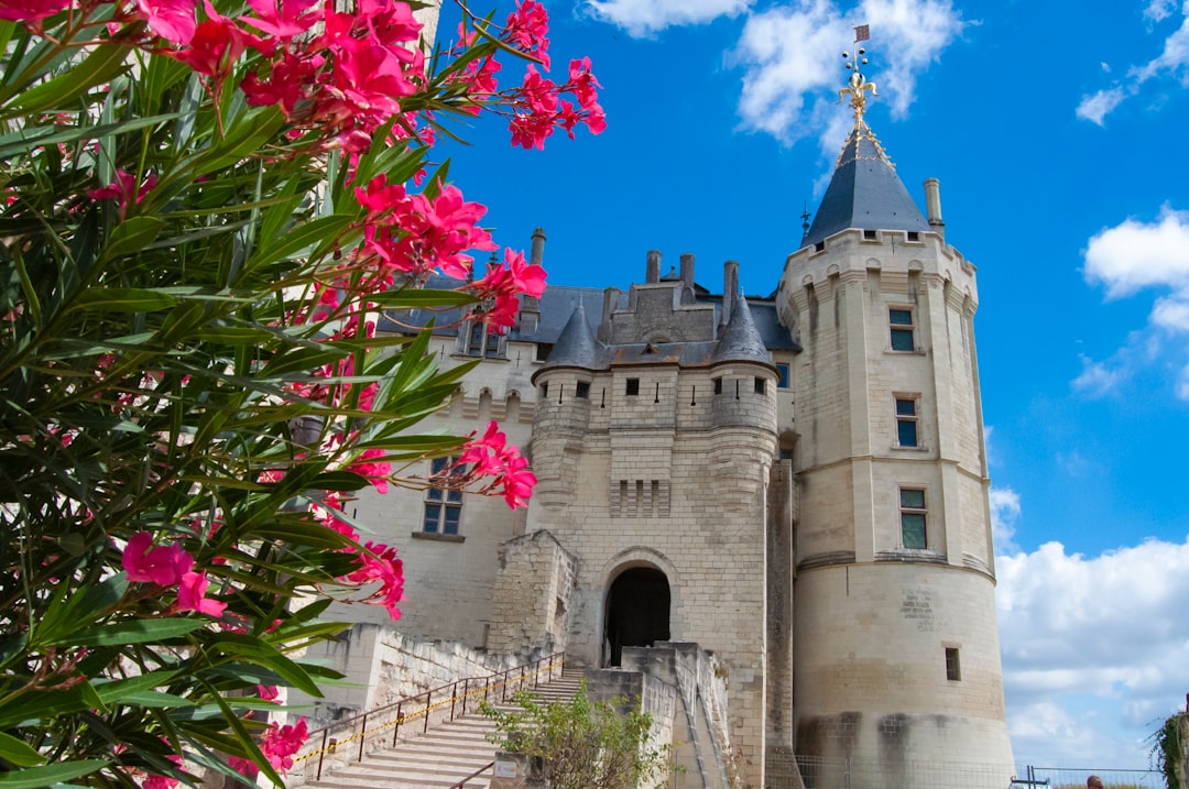 Descubre el encanto del Château de Saumur en Francia - Chouzé-sur-Loire | Secret World Trip Planner