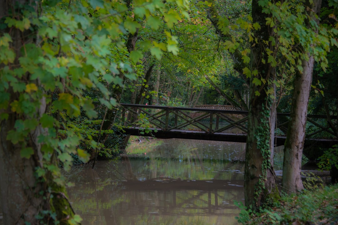Descubre la Magia de la Rivière Loire en Amboise — Amboise