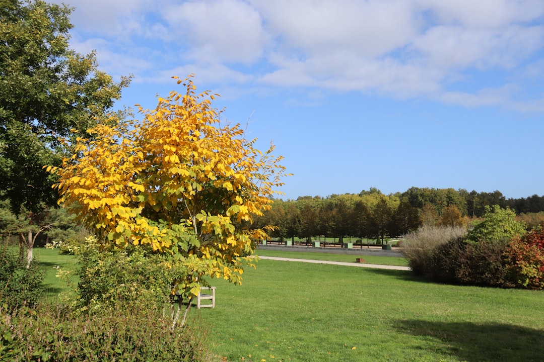 Scopri il Parc de Chambord: un gioiello della natura in Francia - Chambord | Secret World Trip Planner