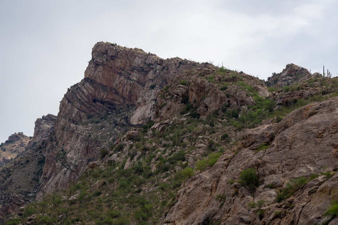 Observatorio de Kitt Peak: el gigante de las estrellas - Tucson | Secret World Trip Planner