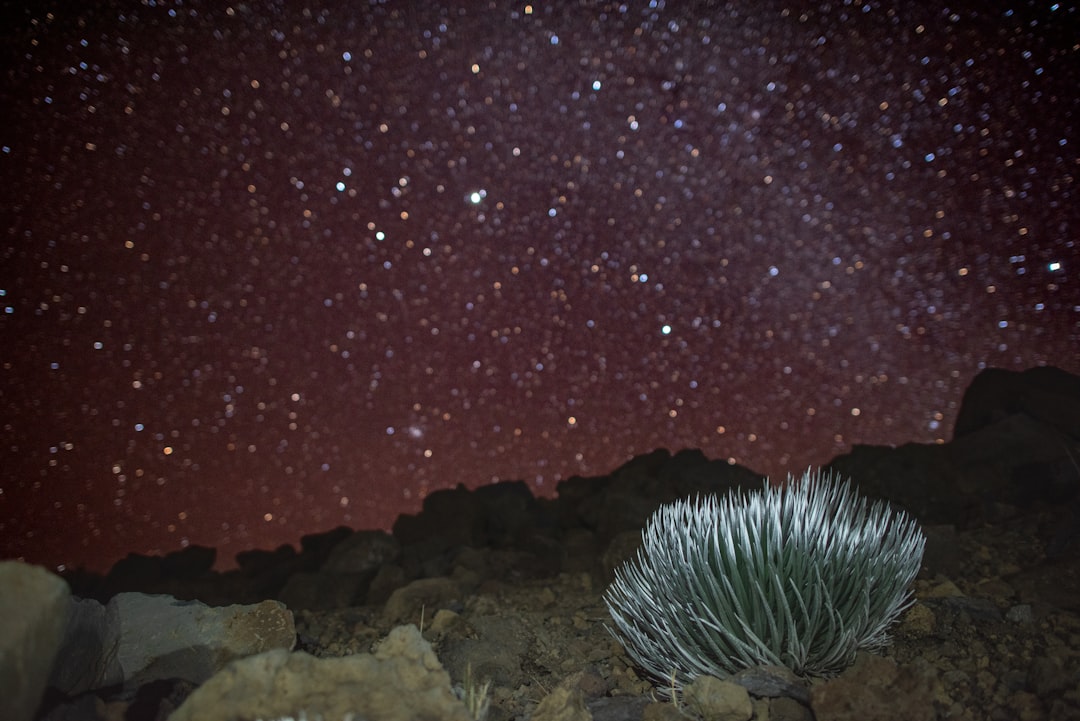Misteri e meraviglie dell'Haleakalā Summit - Kula | Secret World Trip Planner
