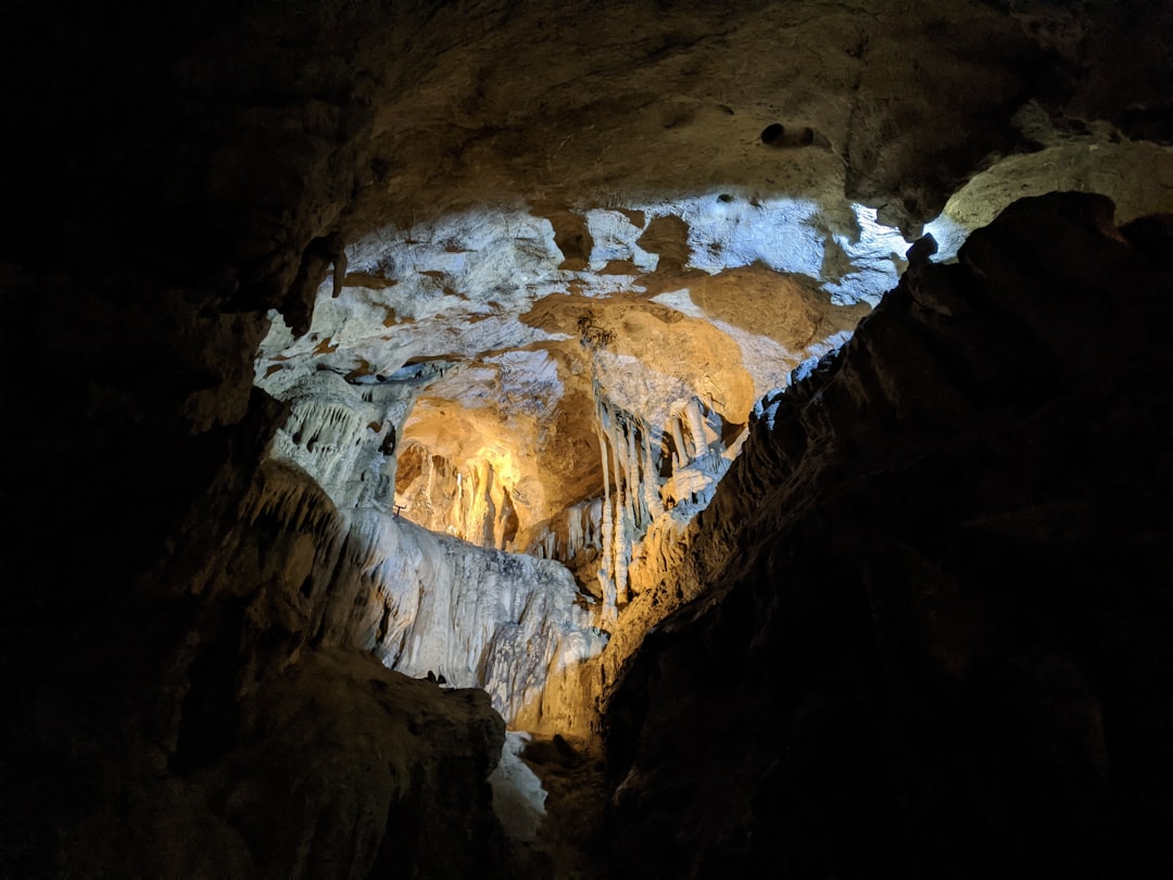 Descubra as Grutas de Lascaux: um tesouro da pré-história - Montignac-Lascaux | Secret World Trip Planner