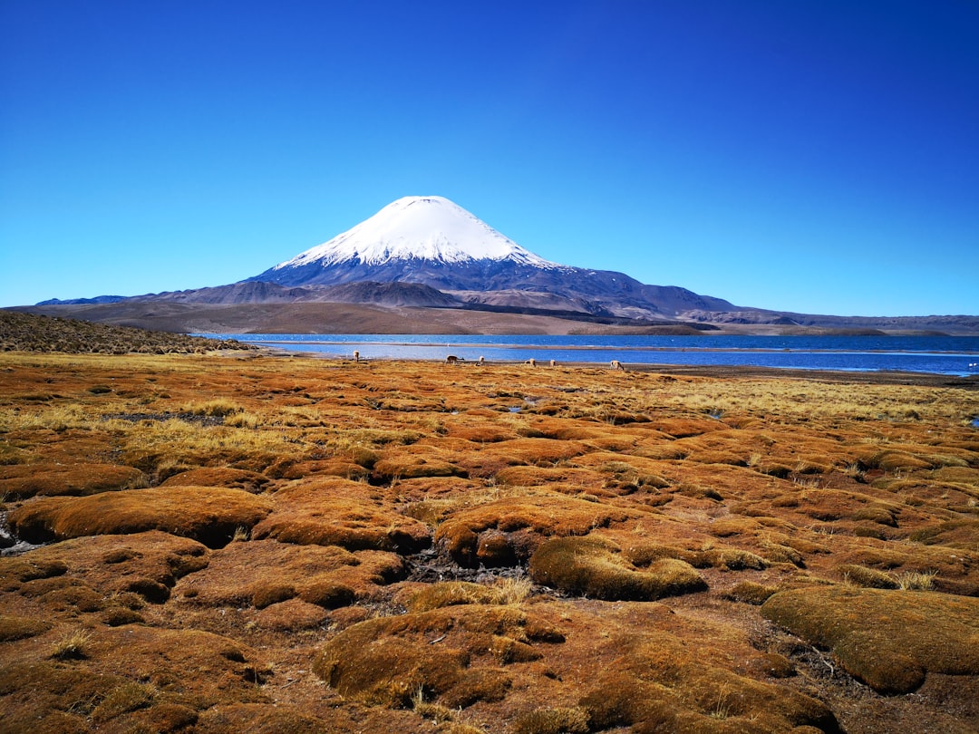 パリナコタ:アンデスの隠れた火山 - Parinacota | Secret World Trip Planner