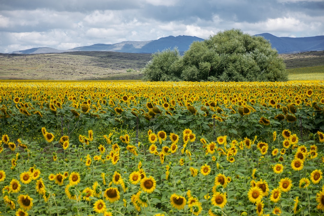 Die verborgene Magie der Sierra de La Ventana - Sierra de La Ventana | Secret World Trip Planner