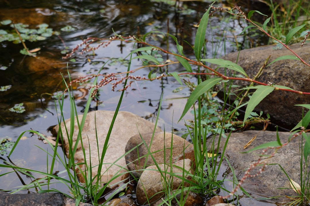 ラ・ベンタナ山脈の隠された魔法 - Sierra de La Ventana | Secret World Trip Planner