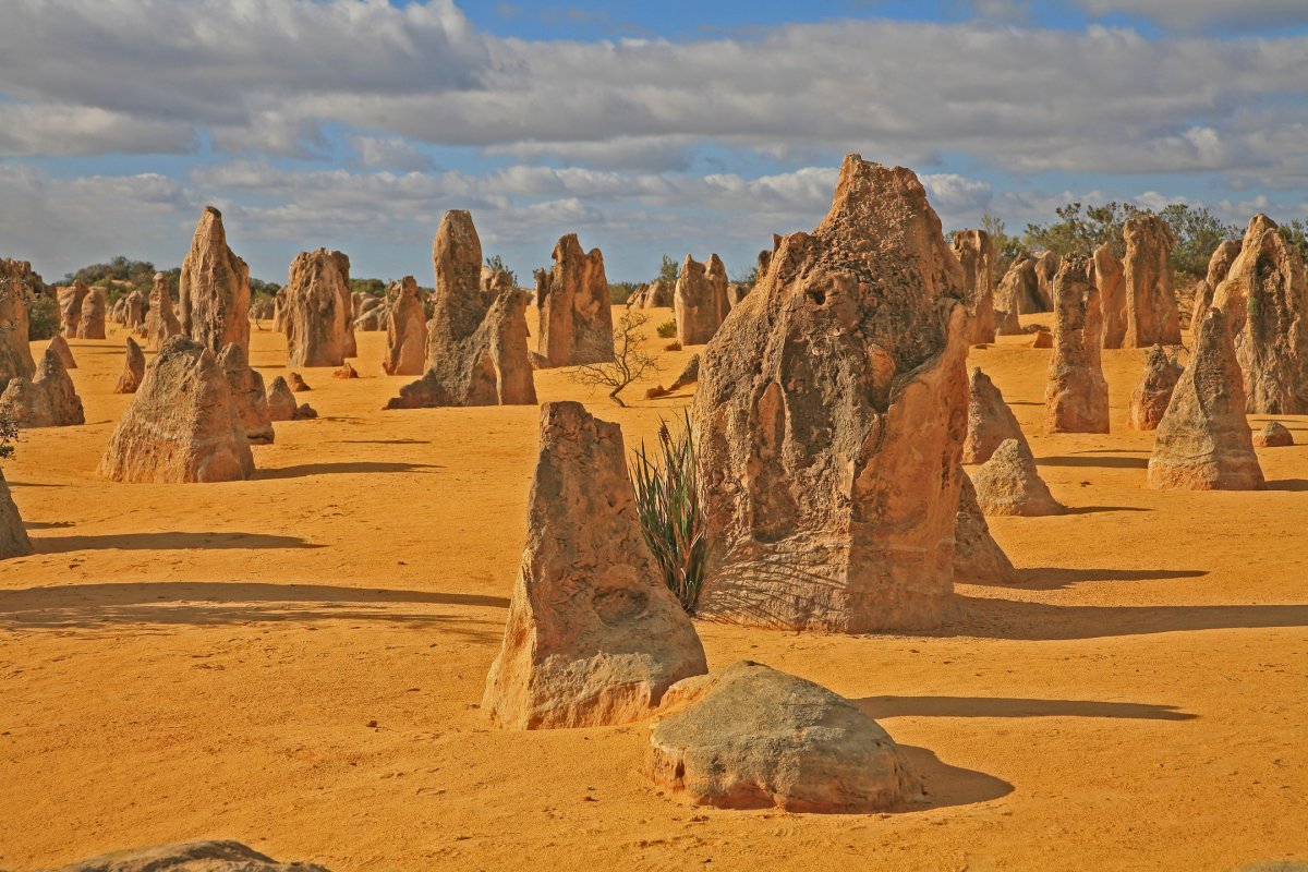 Deserto dei Pinnacoli: Un Paradiso Inesplorato in Australia - Nambung Australia Occidentale 6521 | Secret World Trip Planner