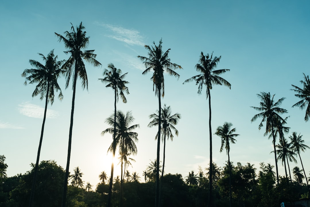シークレットワールド2026レビュー:バリの最高のAI旅行プランナー - Bali | Secret World Trip Planner