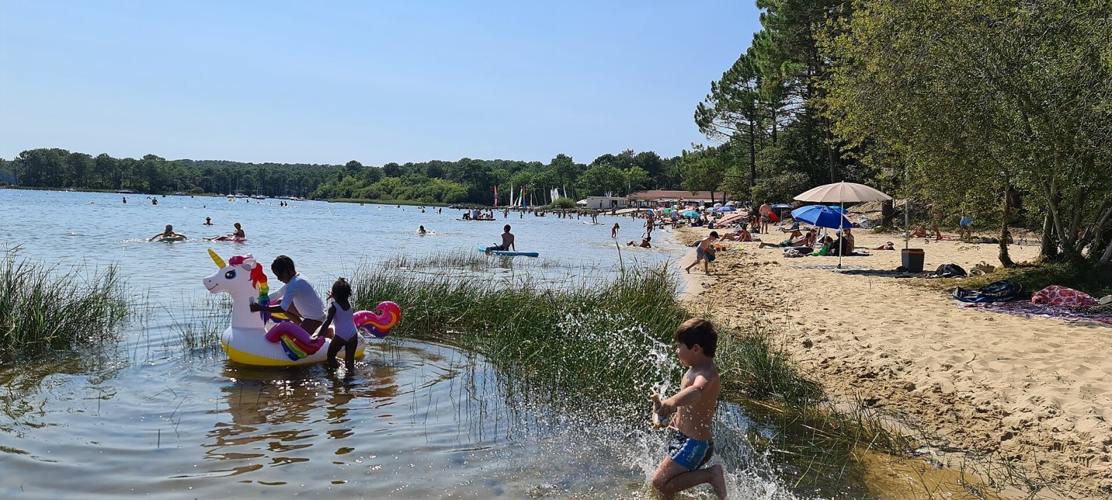 Descubra o Lac de Hourtin: um paraíso natural na França - Sainte-Orse | Secret World Trip Planner