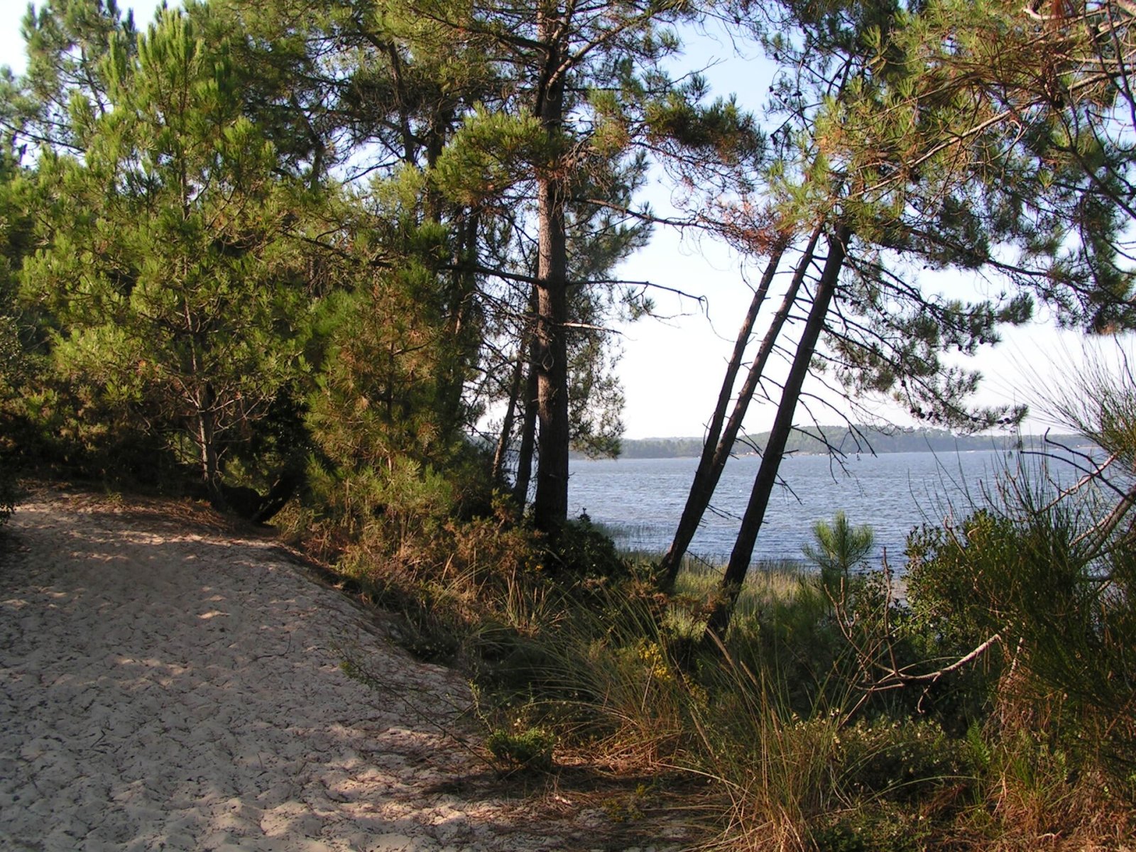 ラカナウ湖を発見：フランスの自然の隅 - Marquay | Secret World Trip Planner
