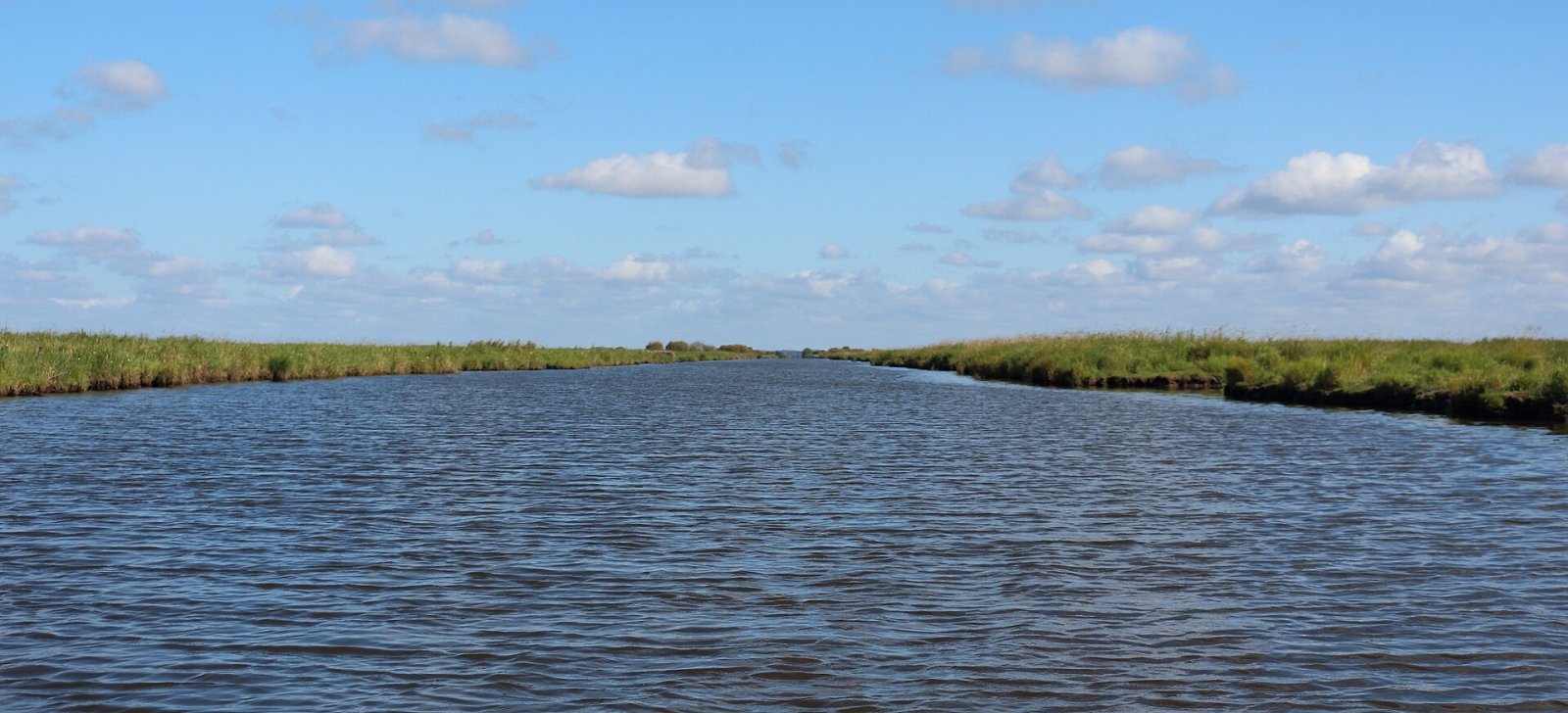 Découvrez le Marais de Brière : un coin de nature à Saint-Nazaire - Nançay | Secret World Trip Planner