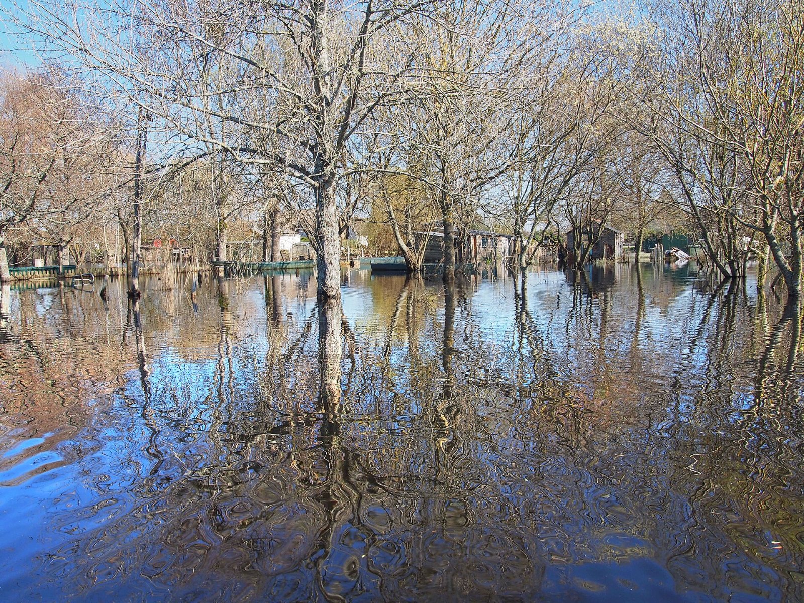 Découvrez le Marais de Brière : un coin de nature à Saint-Nazaire - Nançay | Secret World Trip Planner