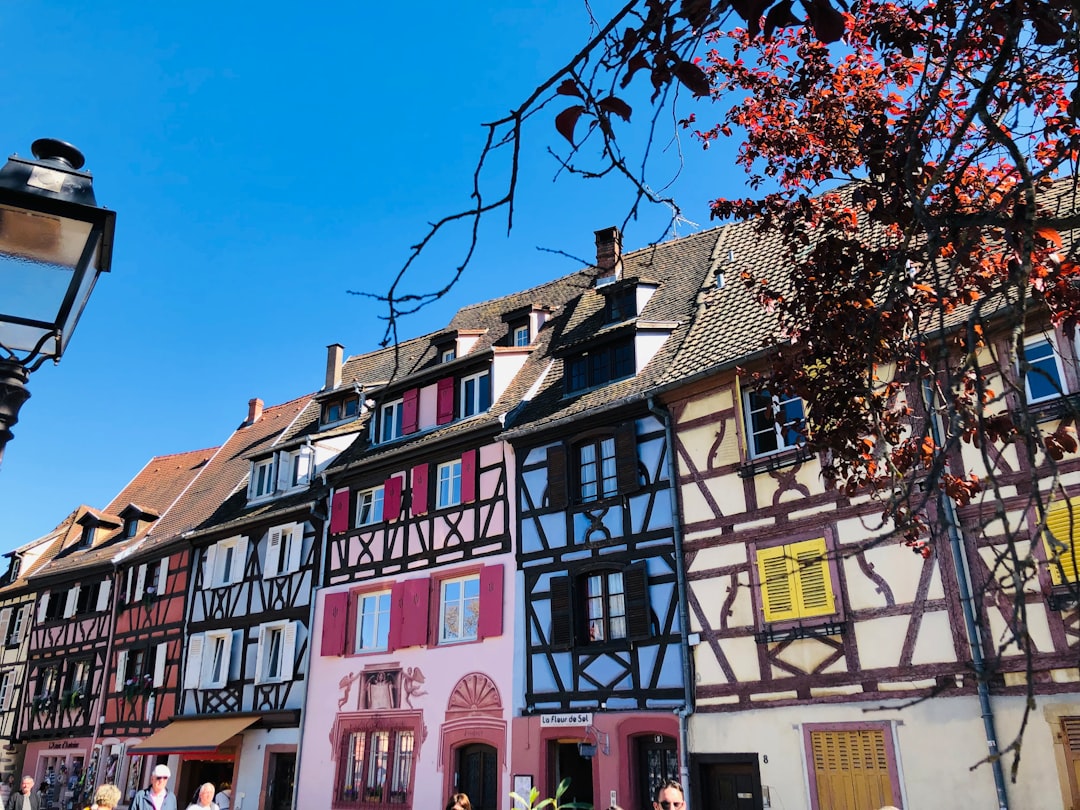 Descubre la Ruta de los Vinos de Alsacia en Colmar - Colmar | Secret World Trip Planner