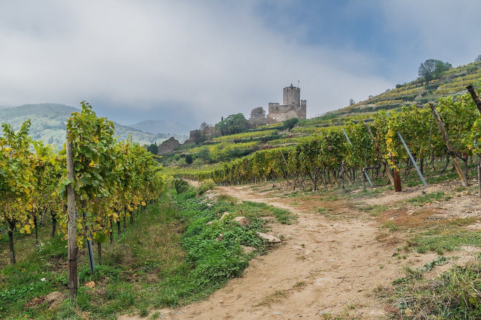 Descubre el encanto del Château de Kaysersberg en Alsacia - Kaysersberg Vignoble | Secret World Trip Planner