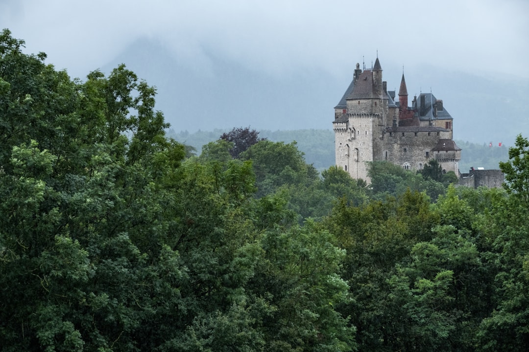 Scopri il Fascino Storico del Château de Menthon-Saint-Bernard - Talloires | Secret World Trip Planner