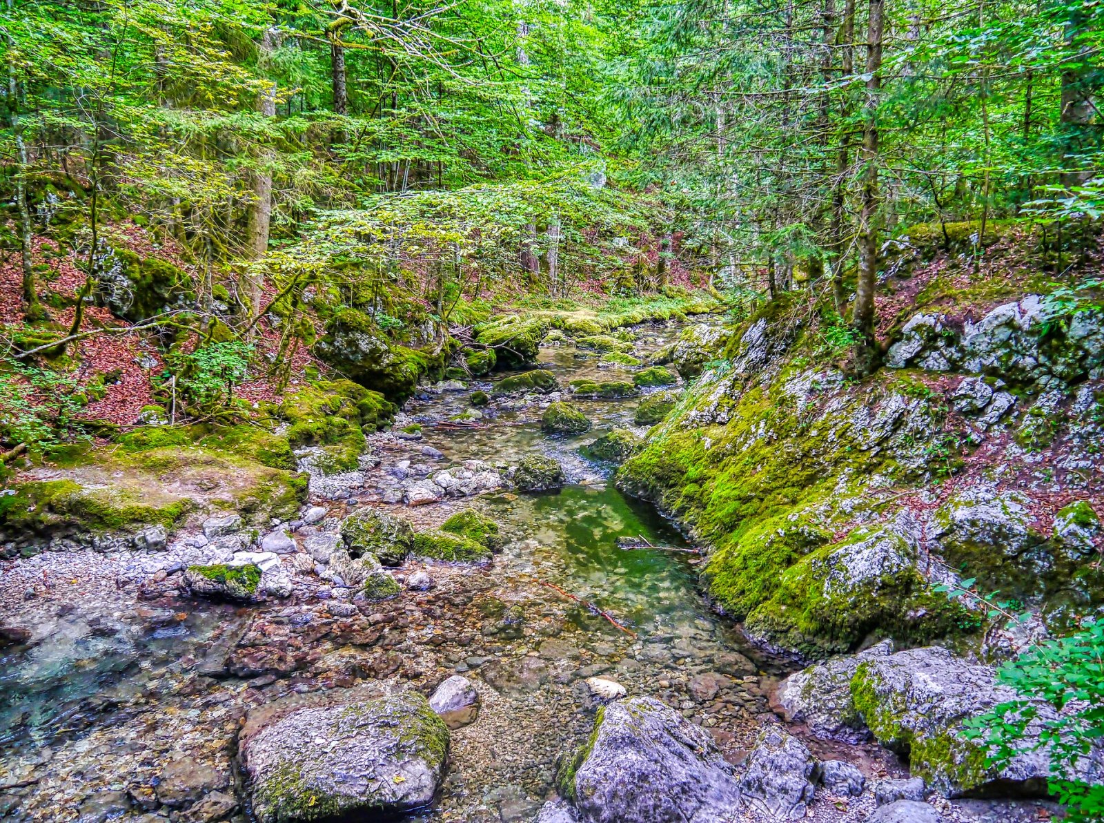 Entdecke den Cirque de Saint-Même: ein Naturjuwel in Frankreich - Plateau-des-Petites-Roches | Secret World Trip Planner