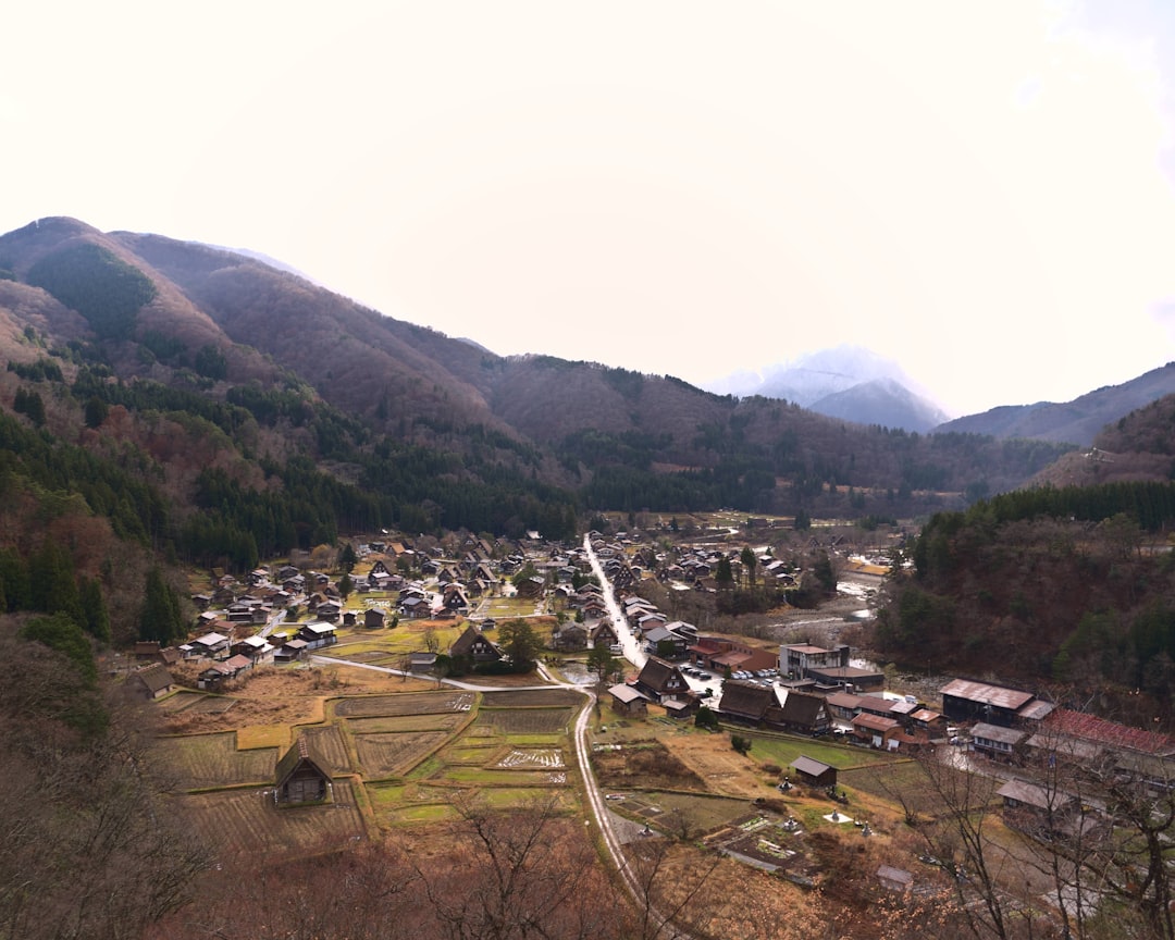 祖谷渓谷:日本の緑の心 - Miyoshi | Secret World Trip Planner