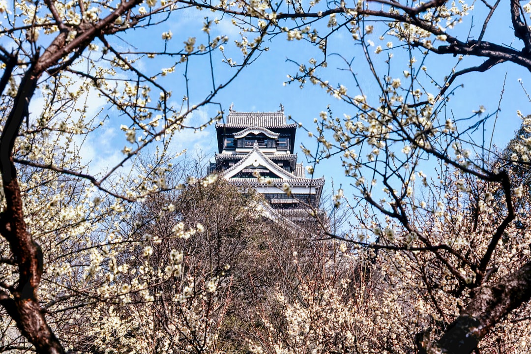 Исследование замка Кумамото: история и красоты - Kumamoto | Secret World Trip Planner