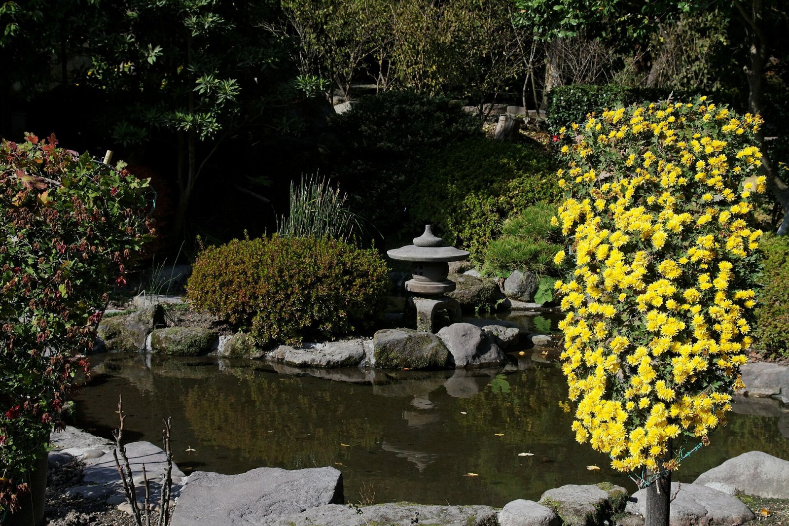 Descubre el Jardín Sengan-en en Kagoshima: un rincón de paraíso - Kagoshima | Secret World Trip Planner