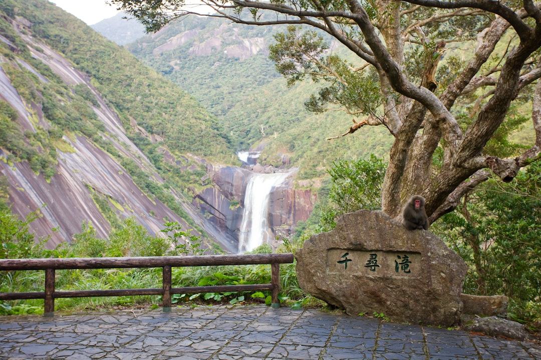 屋久島を発見:日本の自然の宝石 - Yakushima | Secret World Trip Planner
