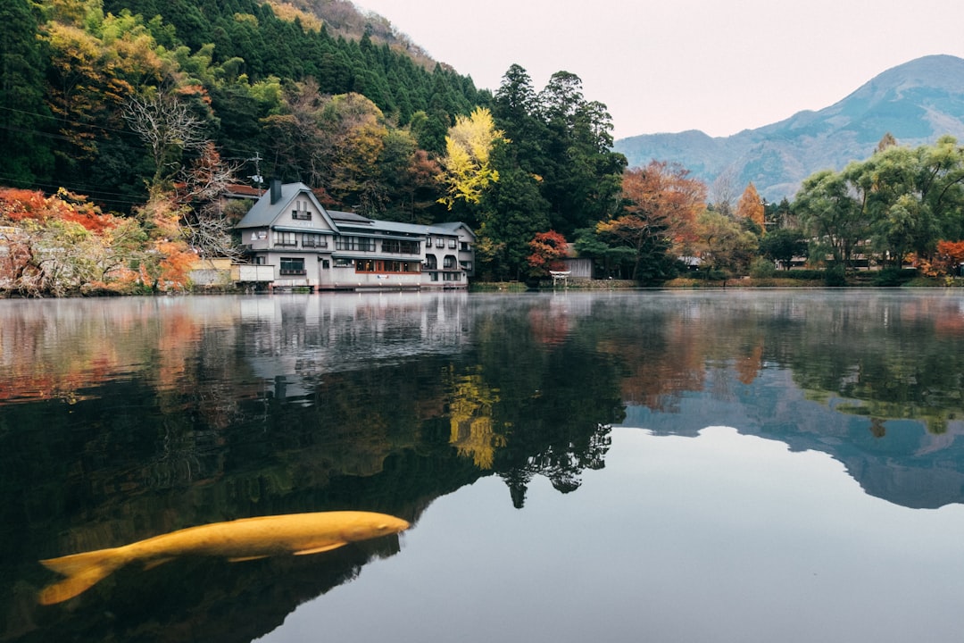 Découvrez Yufuin : la perle des sources thermales de Kyushu - Yufu | Secret World Trip Planner