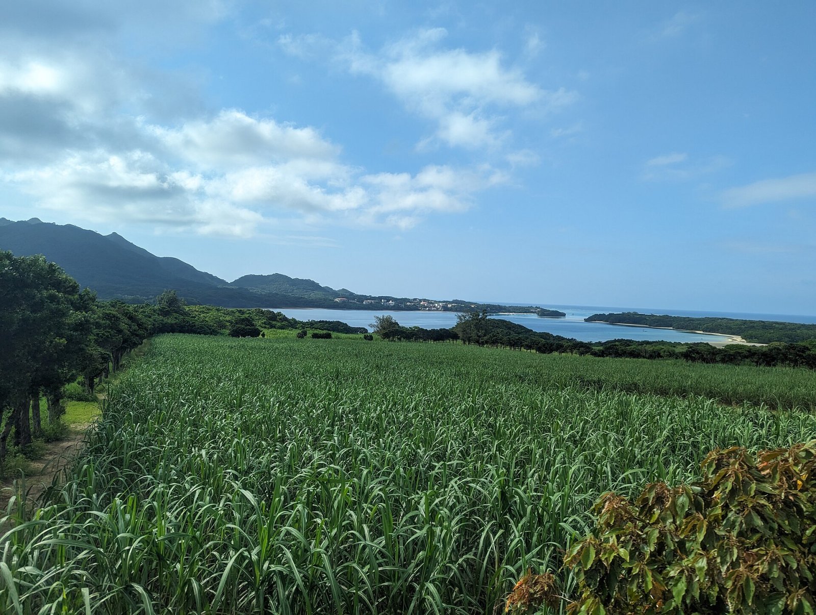 石垣岛:日本冲绳的自然瑰宝 - Ishigaki | Secret World Trip Planner