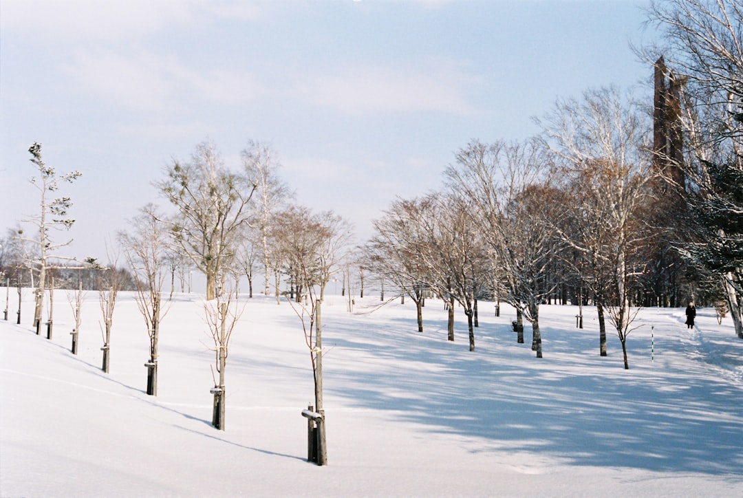 Парк Одори в Саппоро: уголок природы в сердце Хоккайдо - Sapporo | Secret World Trip Planner