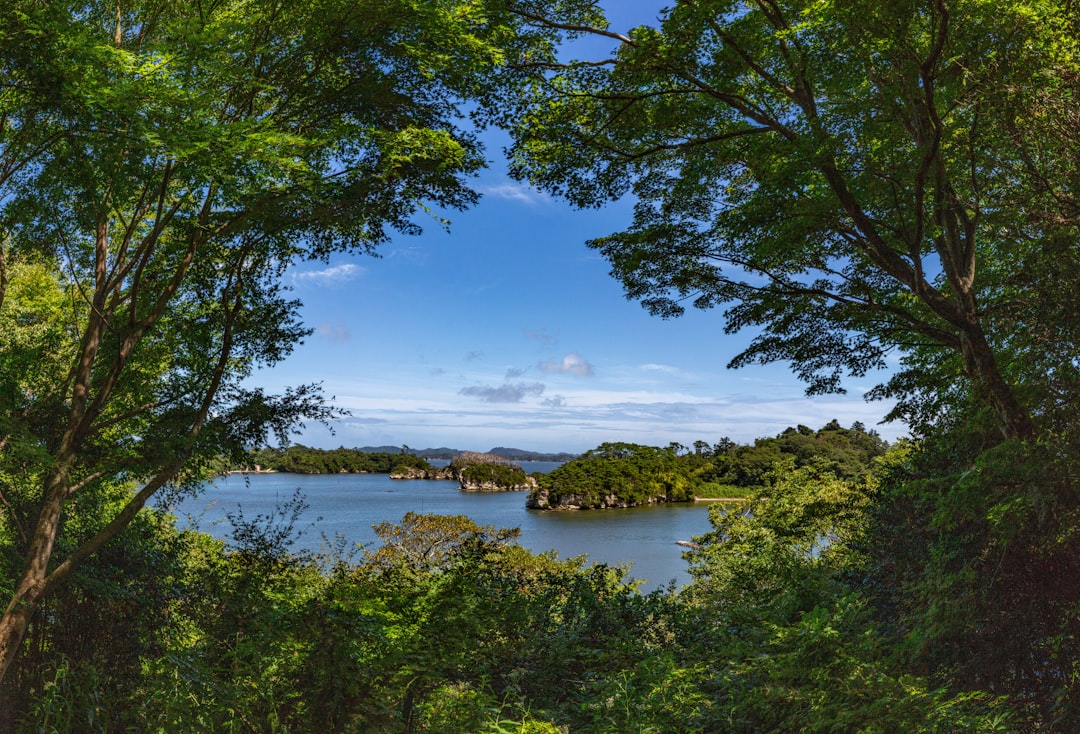 Baía de Matsushima: Um Paraíso Natural no Coração do Japão - Matsushima | Secret World Trip Planner