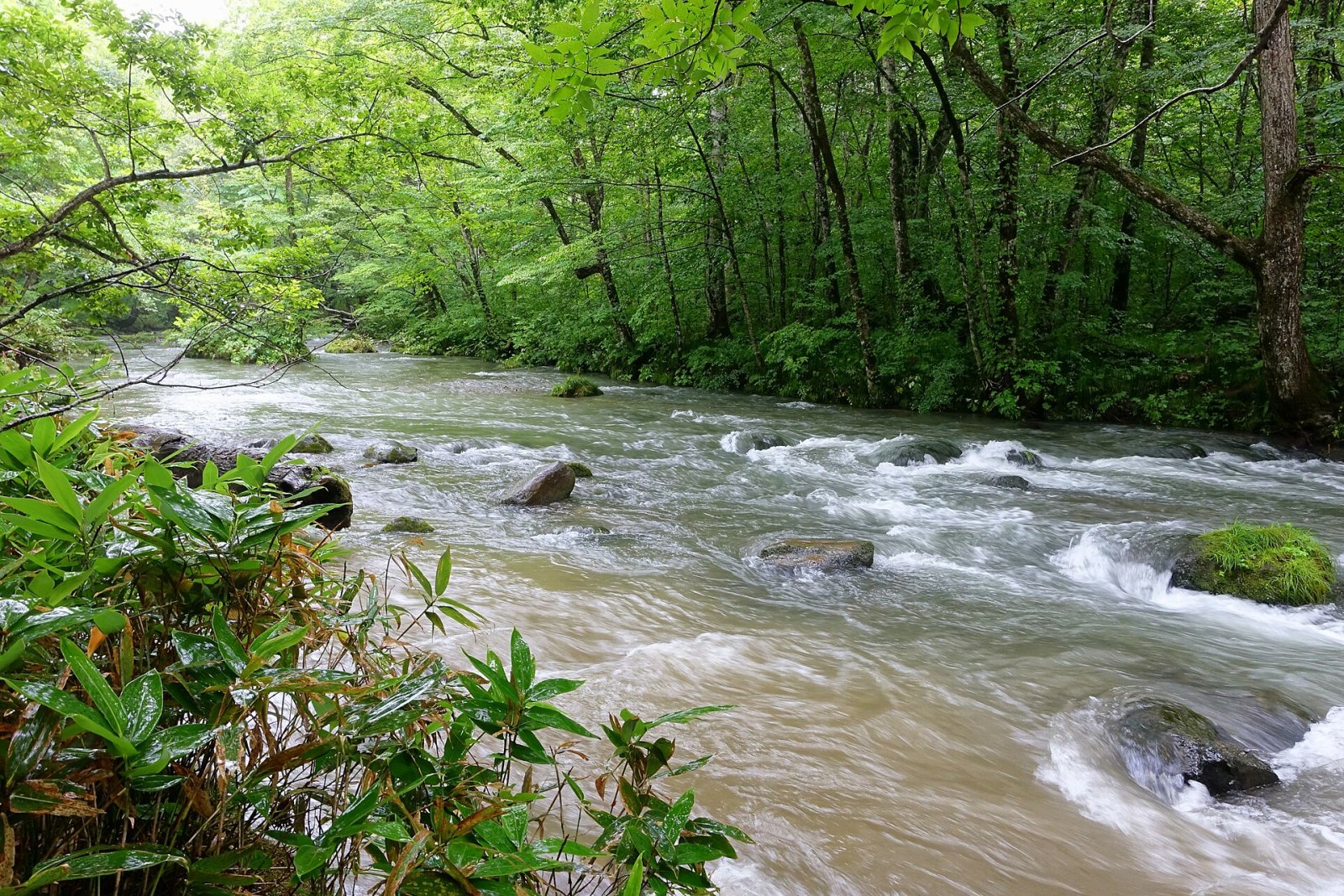 Oirase Stream: Ein Naturparadies in Japan - Towada | Secret World Trip Planner