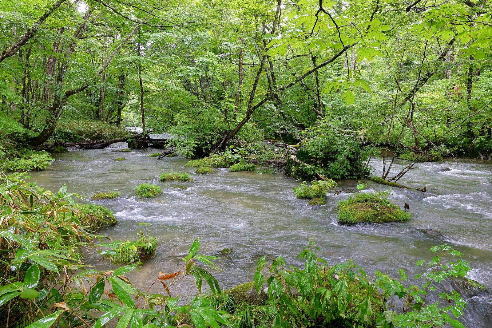 오이라세 계곡: 일본의 자연 천국 - Towada | Secret World Trip Planner