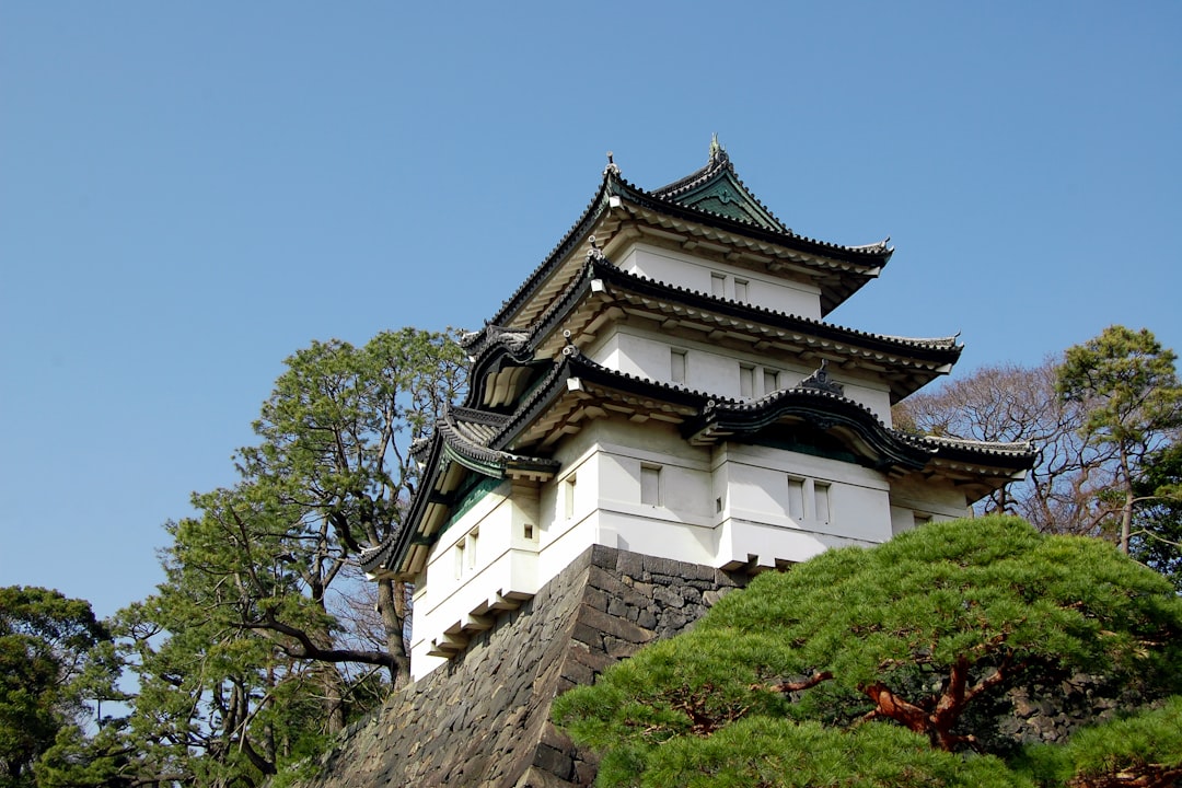 Castillo de Gujo Hachiman: Un Viaje a la Historia de Japón - Gujo | Secret World Trip Planner