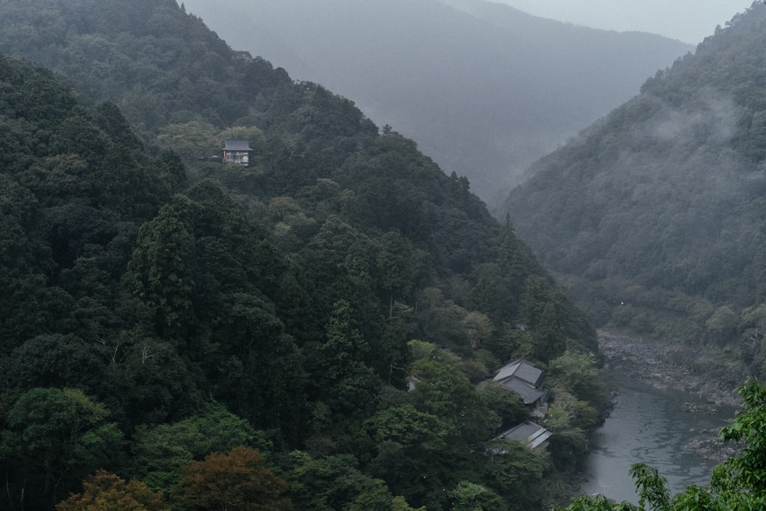 Ena Gorge: Ein unberührtes Naturparadies in Japan - Ena | Secret World Trip Planner