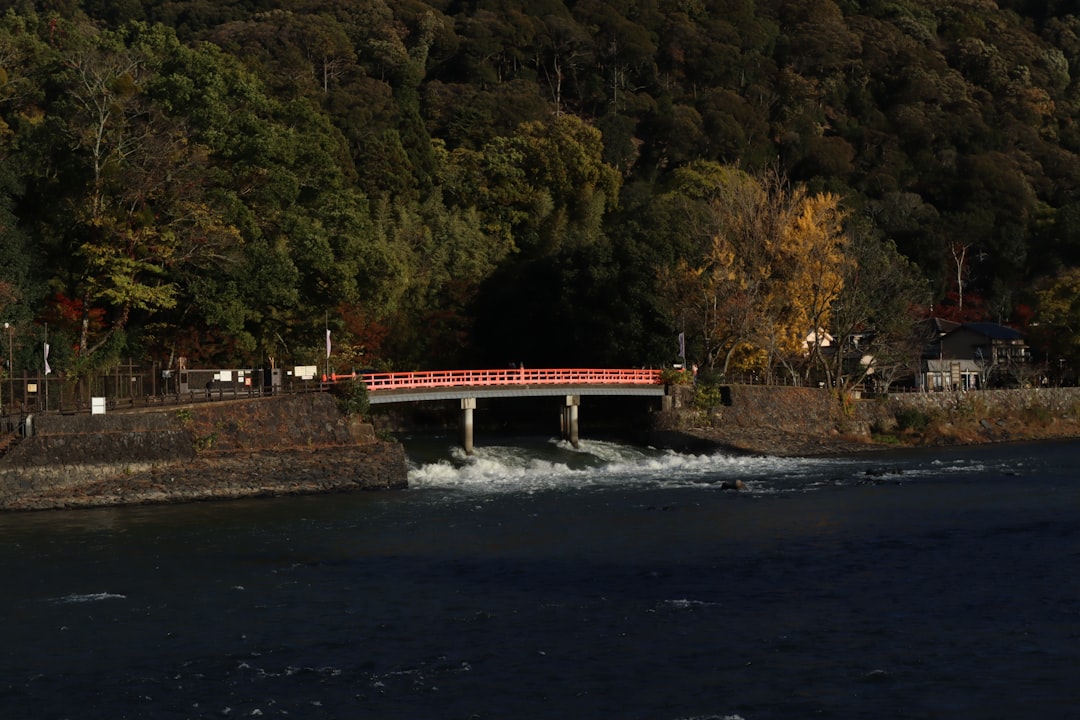 Den Kibune River entdecken: Ein Naturwinkel in Kyoto - Kyoto | Secret World Trip Planner