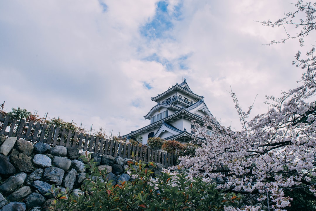 Descubre la Historia y la Belleza del Castillo de Nagahama - Nagahama | Secret World Trip Planner