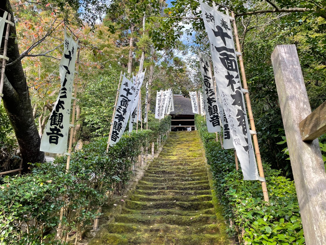 Откройте для себя Кумано Кодо: путь паломников в Японии - Tanabe | Secret World Trip Planner