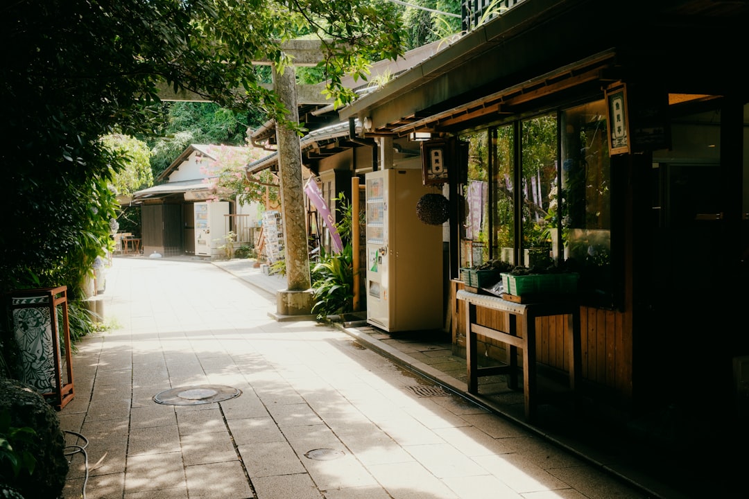 Entdecken Sie die Magie der Ryugado-Höhle in Tosa, Shikoku - Konan | Secret World Trip Planner