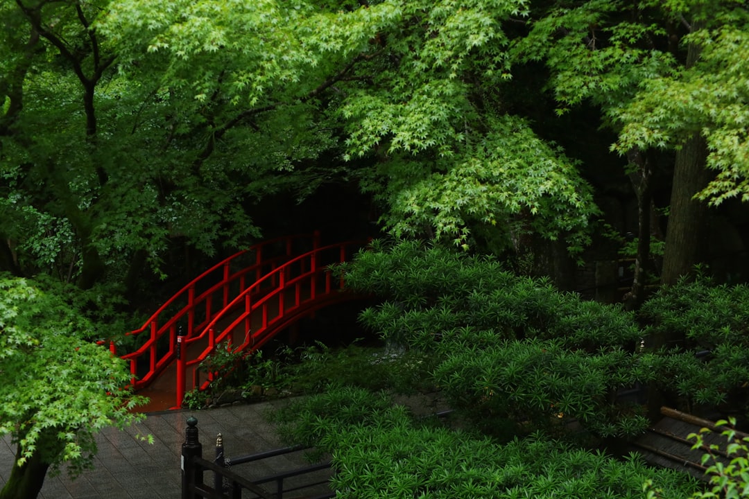 探索佐贺的南藏院寺:日本的文化瑰宝 - Sasaguri | Secret World Trip Planner