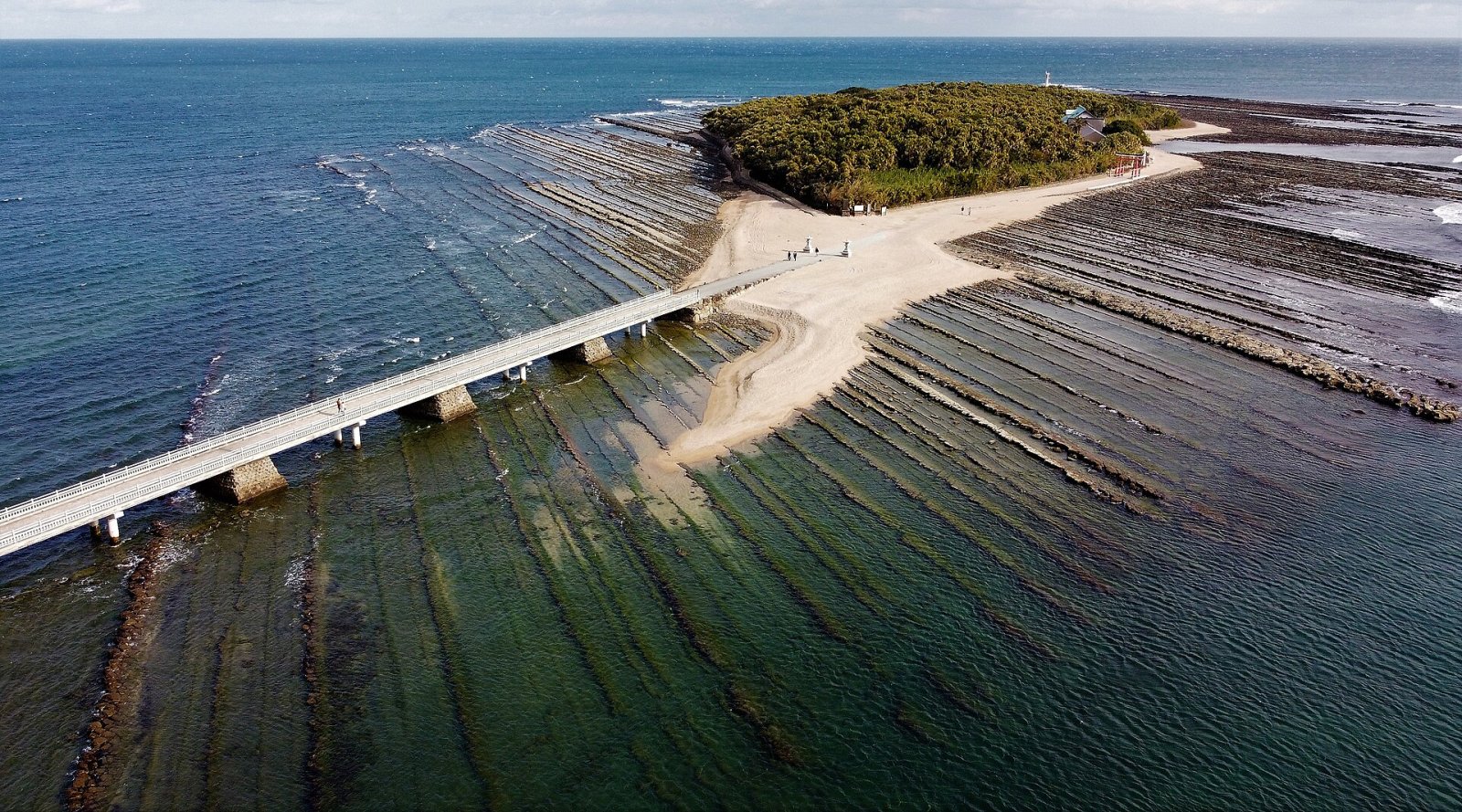 Aoshima Island: Un Paradiso Naturale nel Cuore del Giappone - Nichinan | Secret World Trip Planner