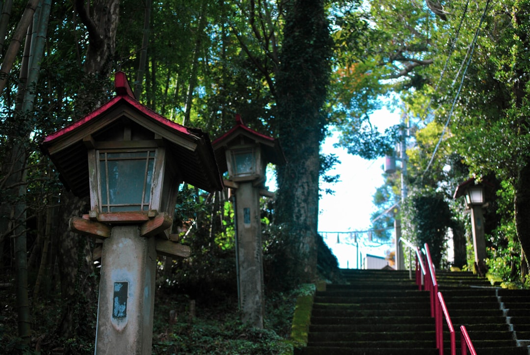 Santuário Udo: Um Tesouro Cultural em Nichinan, Kyushu - Nichinan | Secret World Trip Planner